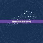 属相猪和龙婚配可以吗，属相猪和什么属相相克