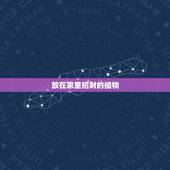 放在家里招财的植物，家里放什么花招财？