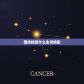 属虎的跟什么生肖绝配，属虎和什么是绝配