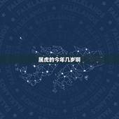 属虎的今年几岁啊，2022 年属兔几岁了