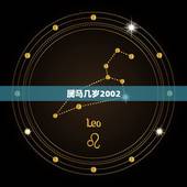 属马几岁2002，2002年到2022 年满18岁没