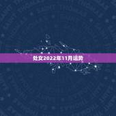 处女2022年11月运势，处女座2022年运势如何