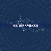 鲁班门前弄大斧什么属相，鲁班门前弄大斧是什么生肖