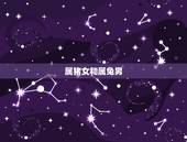 属猪女和属兔男，属马男和属猪女合不合