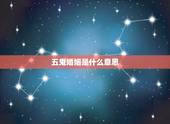 五鬼婚姻是什么意思，五鬼婚是什么