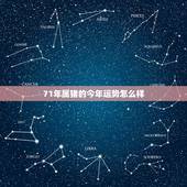 71年属猪的今年运势怎么样，属猪的49岁有什么灾难