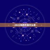 2022年的牛是什么命，2022什么年属什么，什么命