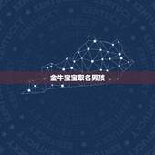 金牛宝宝取名男孩，免费自动取名100分