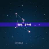 四柱八字命理，请子平四柱八字命理先生看看此八字如何？