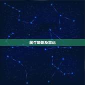 属牛婚姻及命运，牛男牛女一生婚姻状况