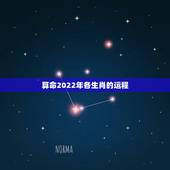 算命2022年各生肖的运程 2022年发大财的生肖
