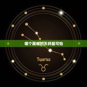 哪个属相的天秤最可怕，天秤座的行星属相