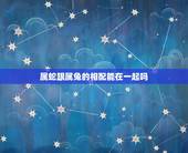 属蛇跟属兔的相配能在一起吗，男兔和女蛇相克结果