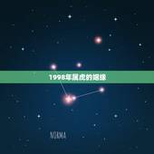 1998年属虎的姻缘，98年属虎女一生有几个儿女