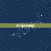 属牛五月感情运势，属牛五月运势