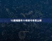 12属相属牛73年的今年怎么样，73年属牛今年上年与下半年运气如何，