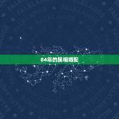 84年的属相婚配，1984年属鼠女和1988年属龙的男相配吗