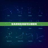 生肖虎和生肖鼠可以婚配吗，十二生肖鼠与虎的可以在一起吗？