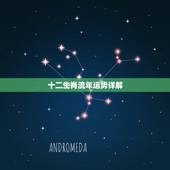 十二生肖流年运势详解，十二生肖流年运势测算
