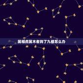 属相虎属木者购了九楼怎么办，74年属虎选了九楼怎么办？