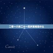 二零一八年二十一周岁属相是什么，今年21周岁属什么的，几几年出生