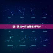 四个属猪一样的属相好不好，属猪的和什么属相最忌