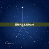 属蛇八月生是什么命，免费生辰八字五行查询