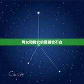 鸡女和猪女的属相合不合，属鸡女的和属猪女的说还犯冲