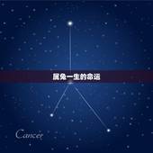 属兔一生的命运，属兔一生的命运怎么样1975