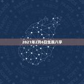 2021年2月6日生辰八字，陈敬渊是否符合生辰八字2021年6月11