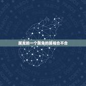 属龙的一个属兔的属相合不合，属兔的和属龙的属相合吗？