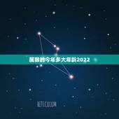 属猴的今年多大年龄2022，属兔2022 年运势及运程
