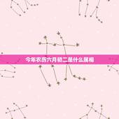 今年农历六月初二是什么属相，1973年农历六月初二出生的女孩是啥命运
