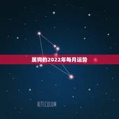属狗的2022年每月运势，属狗人未来三年运势