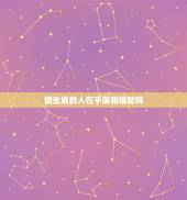 做生意的人在乎属相婚配吗，属相婚配真的很重要吗？