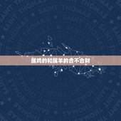 属鸡的和属羊的合不合财，91属羊和93属鸡的配吗