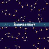 属虎男孩最吉利的名字，属虎人的名字大全集