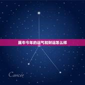 属牛今年的运气和财运怎么样，2021属牛女人的运势和财运如何？