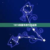 1973年属牛的今日运势，1973年属牛的2025年每月运程