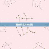 属猪的五月份运势，属猪人2015年运势198310月初五月
