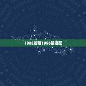 1988龙和1996鼠婚配，88年属龙和96年的鼠相配吗