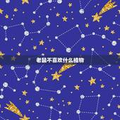 老鼠不喜欢什么植物，负鼠不喜欢什么植物
