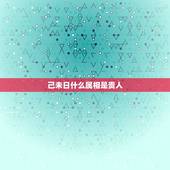 己未日什么属相是贵人，您看看这两八字有没有夫妻缘分