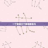 一个家庭三个属相都是马，一家三口都是属马的，再添属狗的，好吗