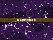 属兔羊的今年多大，属羊人命中注定的另一半