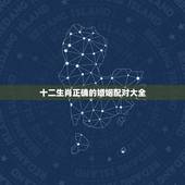 十二生肖正确的婚姻配对大全，十二生肖的婚配？