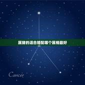 属猪的适合婚配哪个属相最好，属猪的和什么属相最配