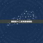 猪配蛇十二生肖属相婚配，十二生肖属相婚姻相配