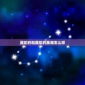 属蛇的和属蛇的属相怎么样，属蛇属蛇在一起好不好