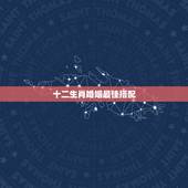 十二生肖婚姻最佳搭配，十二生肖婚姻配对最好1995